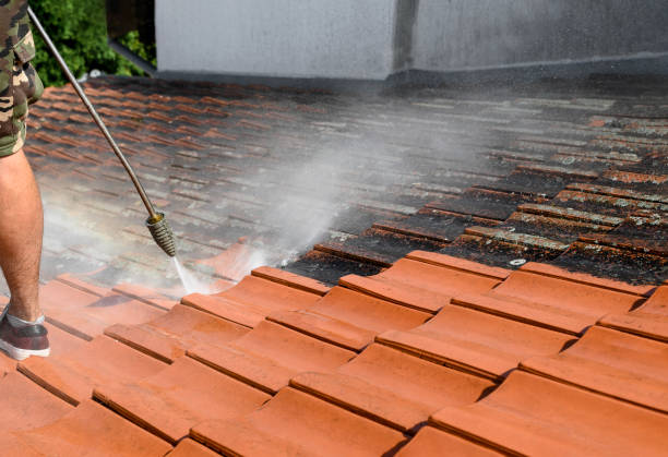 Best Power Washing Near Me  in Rainier, WA