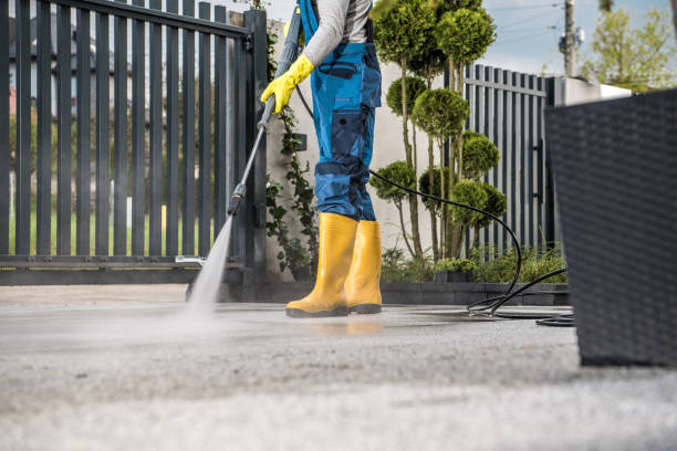 Best House Pressure Washing  in Rainier, WA