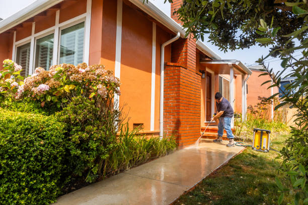 Best Pressure Washing Patio  in Rainier, WA