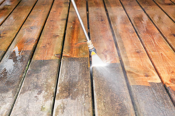 Best Local Pressure Washing Services  in Rainier, WA