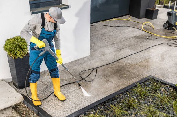 Best Affordable Power Washing  in Rainier, WA