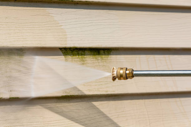 Deck Cleaning Services in Rainier, WA